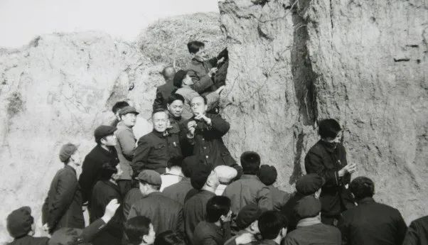 全國第一次土壤普查（1958-1960）專家指導(dǎo)調(diào)查g