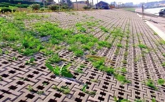 1525482306104585.jpg 微信截圖_20180505090453.jpg